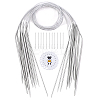 11Pcs Stainless Steel Circular Knitting Needles SENE-WR0001-03-1