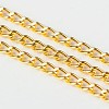 Iron Twisted Chains Curb Chains X-CHS003Y-G-1