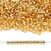TOHO 8/0 Round Beads SEED-TR08-0022A-4