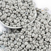 Opaque Colours Luster Glass Seed Beads X1-SEED-P008-01C-11-1