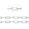 Tarnish Resistant 304 Stainless Steel Paperclip Chains CHS-D030-02P-1