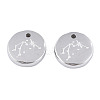 Non-Tarnish 316 Surgical Stainless Steel Charms STAS-S116-418F-P-2