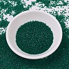 MIYUKI Delica Beads SEED-J020-DB0776-2