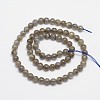Natural Labradorite Round Bead Strands G-M262-5mm-09-2