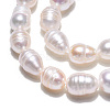 Natural Cultured Freshwater Pearl Beads Strands PEAR-N012-05J-4