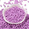 Glass Seed Beads SEED-L011-04A-05-2