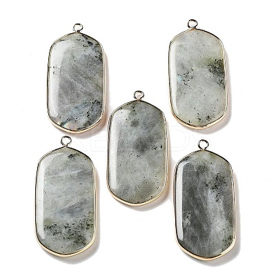 Natural Labradorite Pendants G-G063-02E-1
