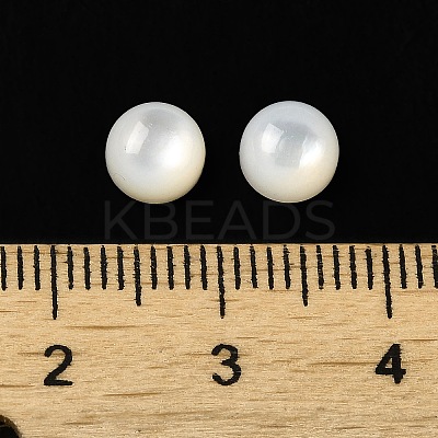 Natural White Shell Cabochons SSHEL-M022-01A-1