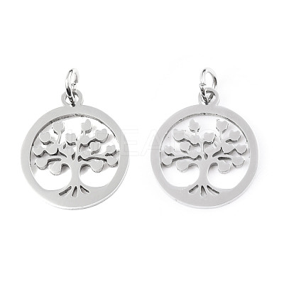 Non-Tarnish 304 Stainless Steel Pendants STAS-T046-JA350-1-1