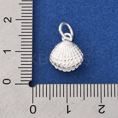 925 Sterling Silver Shell Shape Charms STER-D304-02S-1