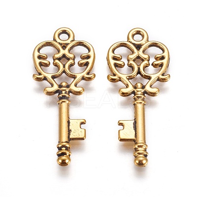 Tibetan Style Alloy Pendants GLF11137Y-1