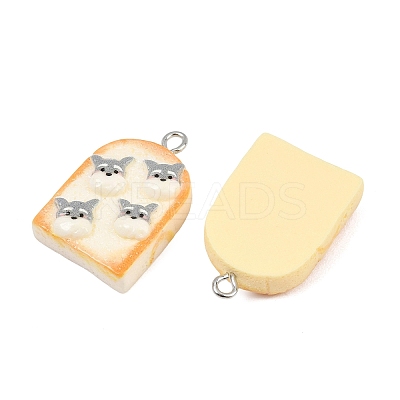 Opaque Resin Imitation Food Pendants RE-CBA0E2-03-1