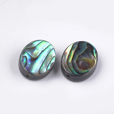Abalone Shell/Paua Shell Beads LS-X-SSHEL-T008-04-1