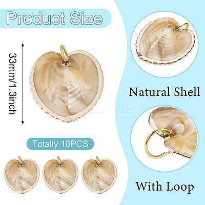 10Pcs Natural Shell Pendants PALLOY-TAC0204-1