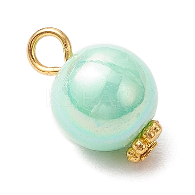 Opaque Acrylic Pendants PALLOY-JF03929-02-1