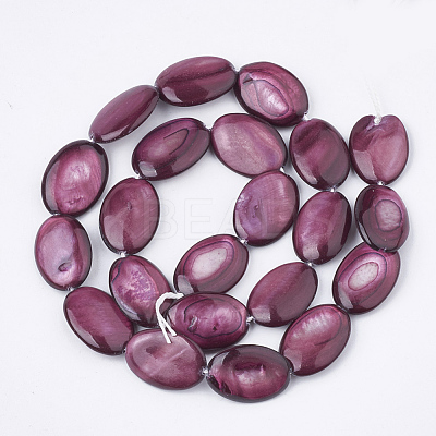 Freshwater Shell Beads Strands SHEL-S274-37-1