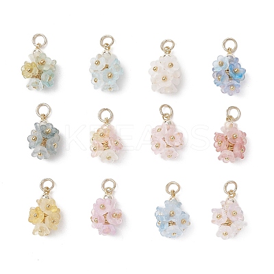 12Pcs Flower Transparent Acrylic Pendants PALLOY-JF03894-1