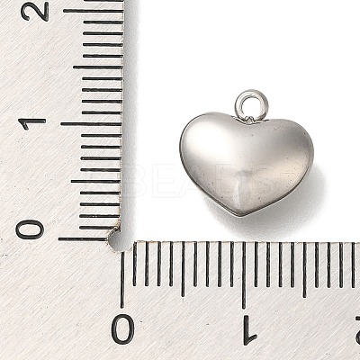 304 Stainless Steel Charms STAS-P371-069P-02-1