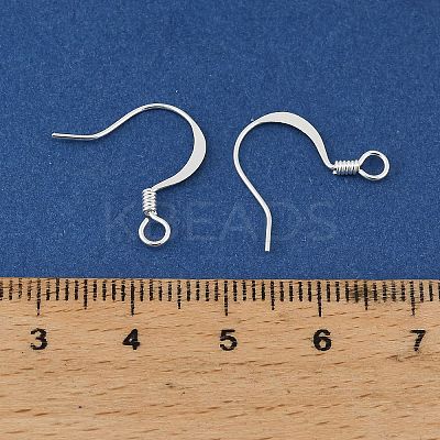 Brass Earring Hooks KK-H258-06E-S-1