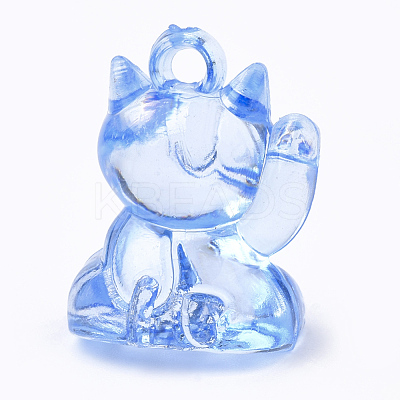 Transparent Acrylic Pendants X-TACR-S149-10-1