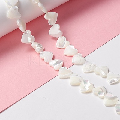 Natural Trochid Shell/Trochus Shell Beads SSHEL-O001-27C-1