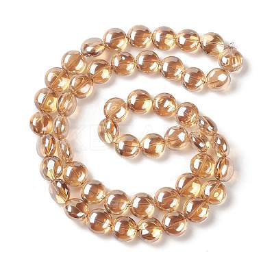 Transparent Electroplate Glass Bead Strands EGLA-P049-01A-PL01-1
