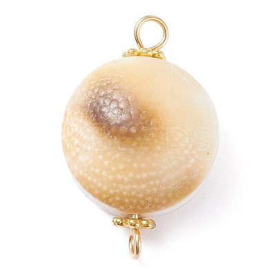 Natural Trumpet Shell Bead Links Connectors PALLOY-JF01298-1