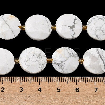 Natural Howlite Beads Strands G-A292-A03-01-1