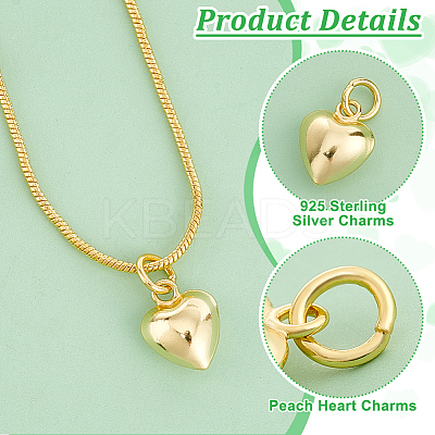 2Pcs 925 Sterling Silver Pendants STER-PH0002-10-1