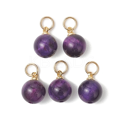 Dyed Natural Tiger Eye Round Charms PALLOY-JF04979-1