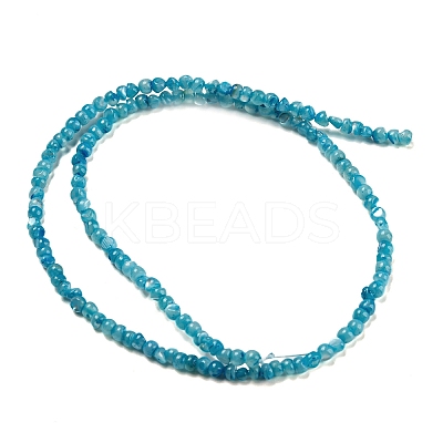 Natural White Shell Dyed Beads Strands BSHE-Z005-03B-1