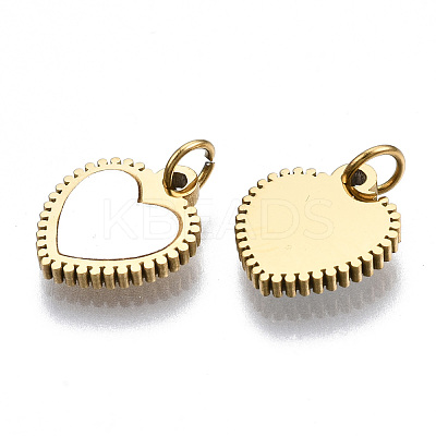 316 Surgical Stainless Steel Charms STAS-S116-316G-1