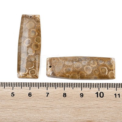 Natural Fossil Coral Pendants G-B187-01C-08-1