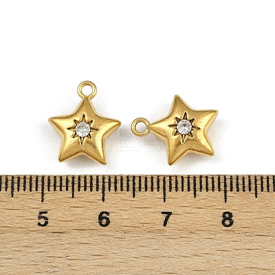 304 Stainless Steel Charms STAS-I342-10G-1