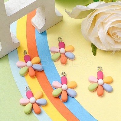 Opaque Resin Pendants HUDU-YW0001-01-1