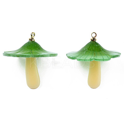 Plastic Pendants KY-N015-118C-02-1