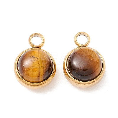 Natural Tiger Eye Charms G-K325-01G-01-1