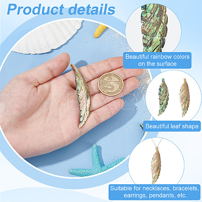 2Pcs Handmade Natrual Paua Shell Carved Big Pendants FIND-BC0013-54-1