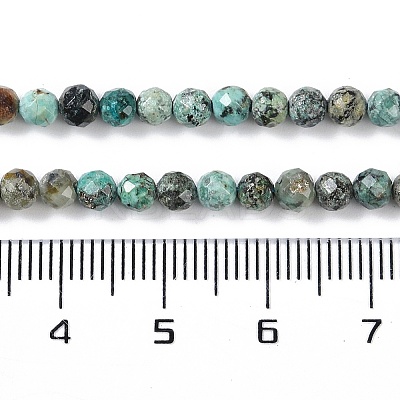 Natural African Turquoise(Jasper) Beads Strands LS-G-N342-29B-1
