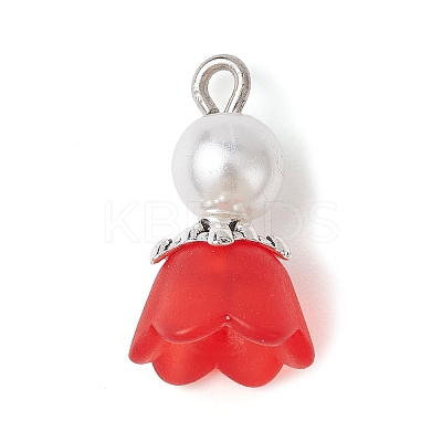 Transparent Acrylic Pendants PALLOY-JF02336-1