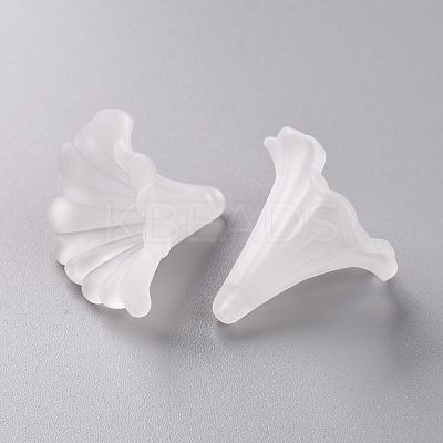 Transparent Acrylic Beads BSF796-1