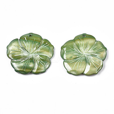 Natural Freshwater Shell Pendants SHEL-S276-164-1