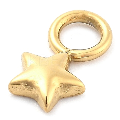 Ion Plating(IP) 304 Stainless Steel Charms STAS-P379-06B-G-1