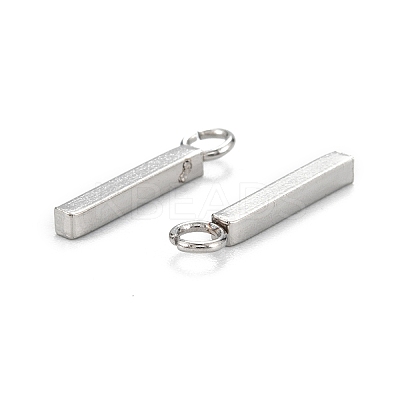 Tarnish Resistant 304 Stainless Steel Pendants STAS-Z034-17D-P-1