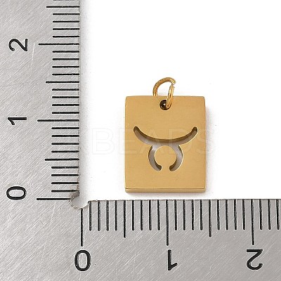 304 Stainless Steel Charms STAS-R001-03G-02-1