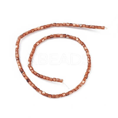 Natural Freshwater Shell Dyed Beads Strands X-SHEL-M018-14-02-1