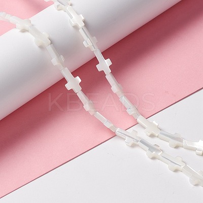 Natural Trochid Shell/Trochus Shell Beads SSHEL-O0001-22A-1