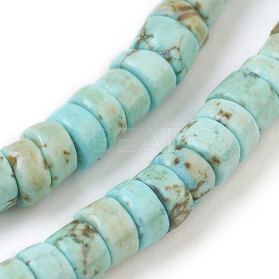 Natural Howlite Beads Strands X-G-P398-B01-1