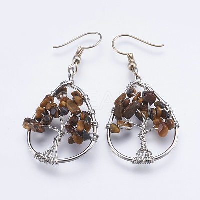 Natural Gemstone Dangle Earrings EJEW-F147-H-1