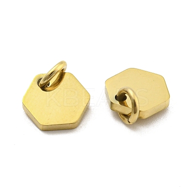 304 Stainless Steel Charms STAS-P356-01G-1